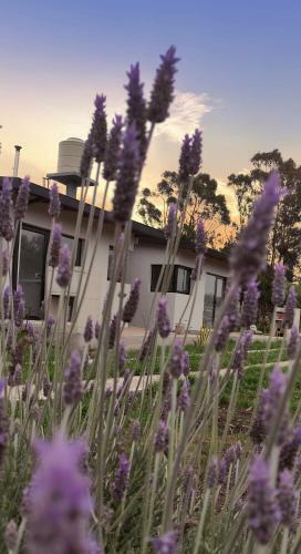 Apartamento Lp Loft "a Estrenar"
