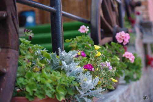 Hostal Pensiunea Irina