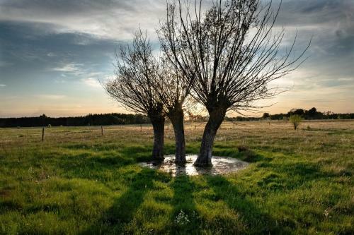 Agroturismo Zacisze U Rysia