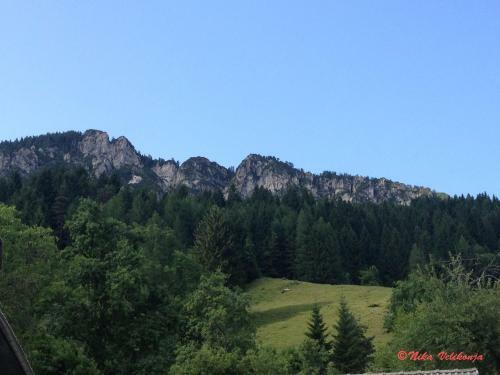 Mountain View Glamping