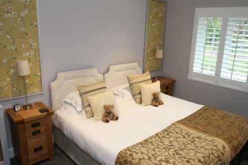 Hostal The Salty Monk