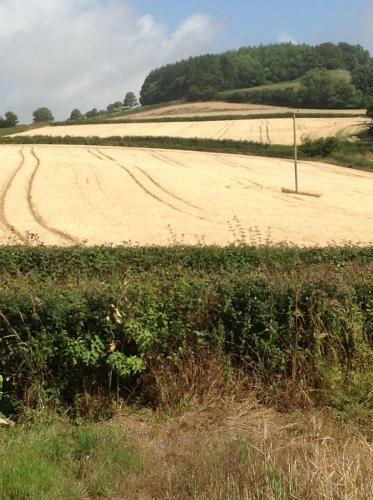 Bed & Breakfast Lower Pinn Farm