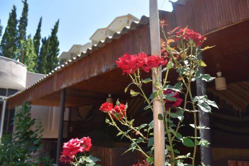 Apartamento Terko
