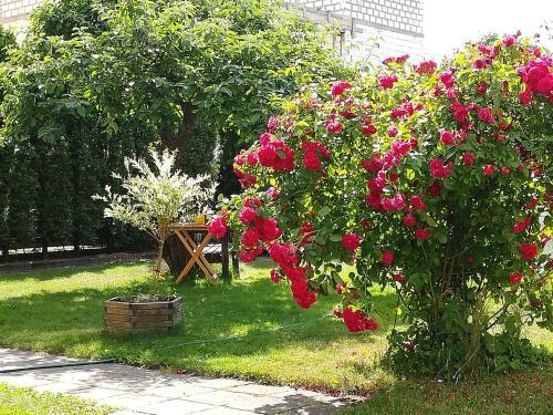 Apartamento Poilsis Pas Virginij?