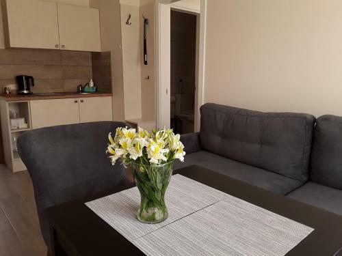 Apartamento Amber Drop