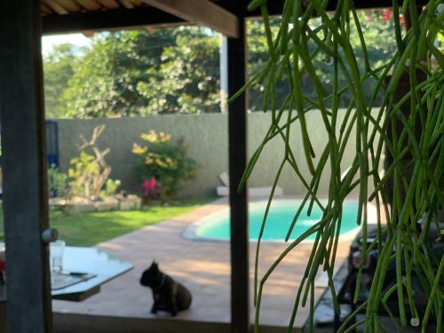 Praia Ou Piscina? Os 2!