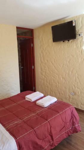 Hotel Las Palmeras Eco Hostel