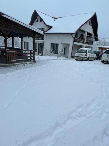 Hostal Pensiunea Drago? Vod? Breb
