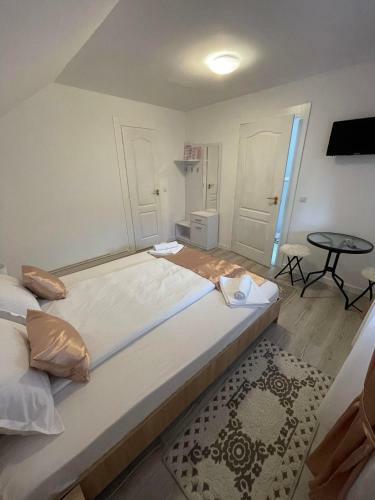 Hostal Pensiunea Drago? Vod? Breb