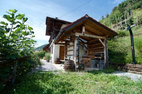 Zidanca Stari ?ar Wine House