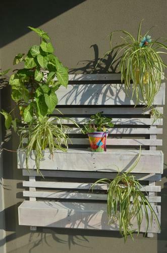 Apartamento Monoambiente La Pitota