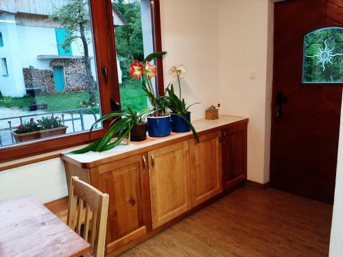 Apartamento Healing Farm