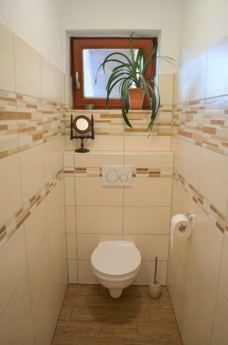 Apartamento Healing Farm