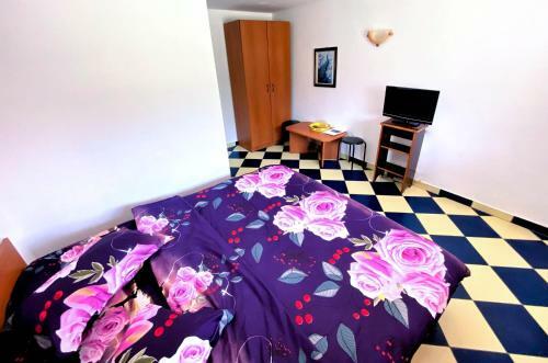 Hostal Pensiunea Ramona