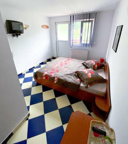 Hostal Pensiunea Ramona