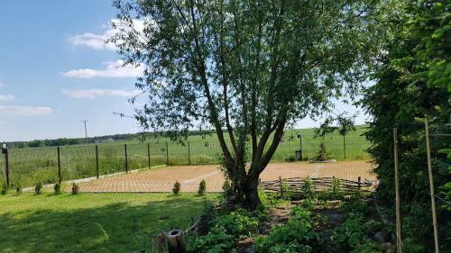 Go?ciniec Piast Hotel I Camping