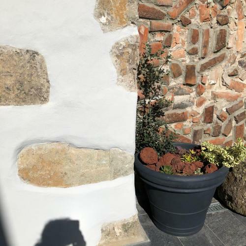 Apartamento Garden Suite - Casa Sao Joao