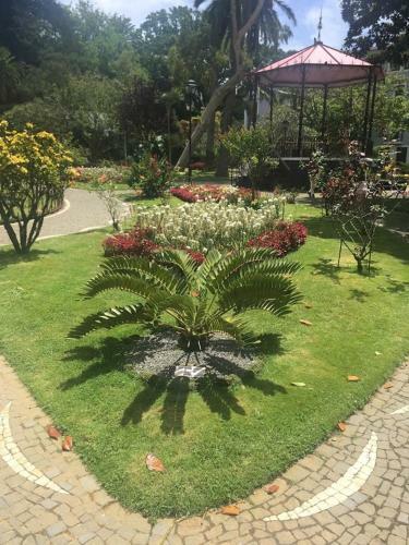 Apartamento Garden Suite - Casa Sao Joao