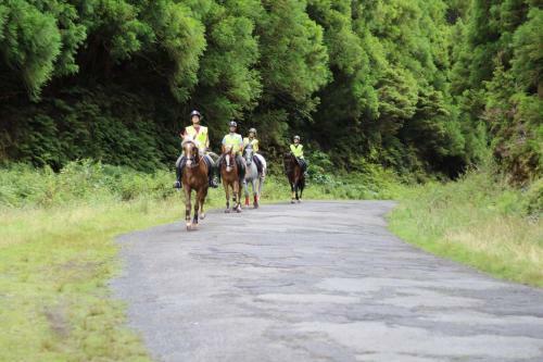 Quinta Do Malhinha- Turismo