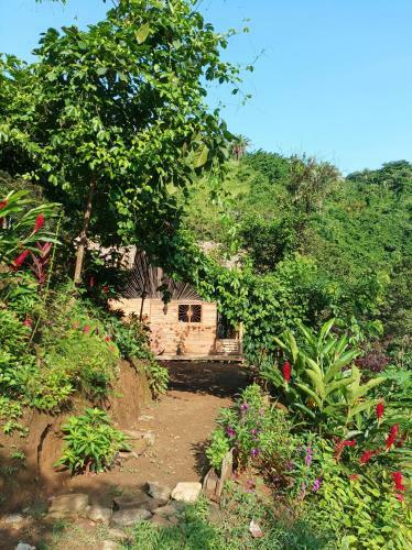 Lodge Finca La Selvita