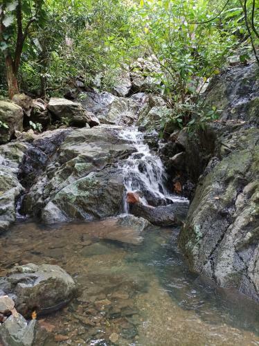 Lodge Finca La Selvita