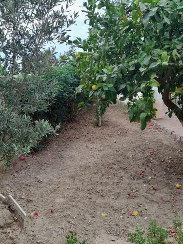 Apartamento Kale Manzaral? Yazl?k Ev