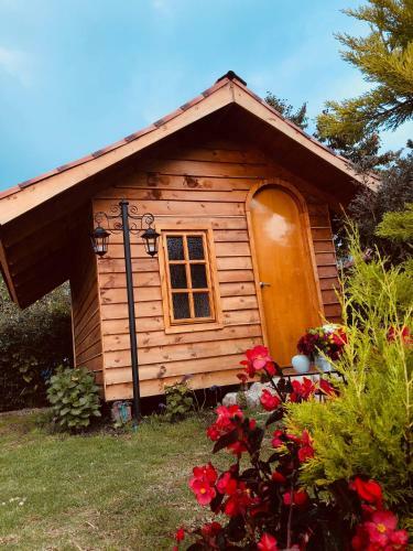 Bed & Breakfast Ecocaba�as Villa Isabel