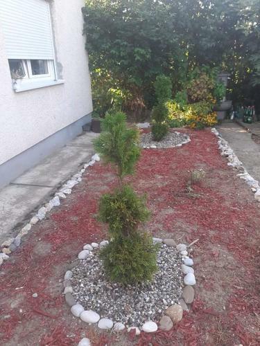 Apartamento Ku?a Loznica