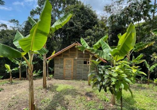 Glamping Con Jacuzzi Para Grupos O Parejas En Caldas