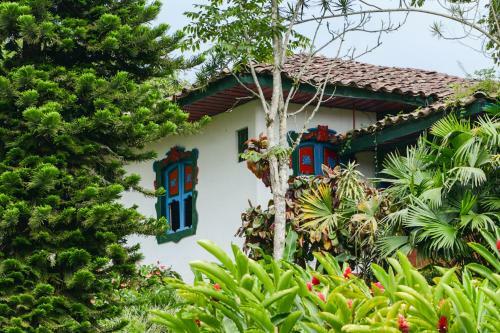 Bed & Breakfast Finca La Colina