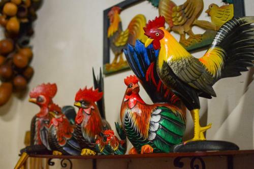 Bed & Breakfast Finca La Colina