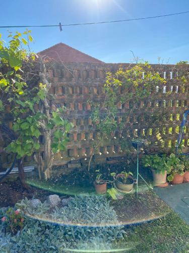Apartamento Gladys House