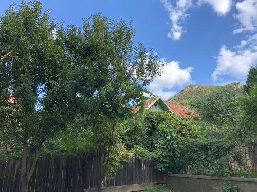 Schei Apartament 2