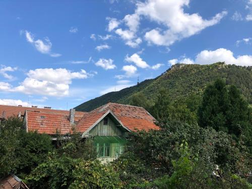 Schei Apartament 2