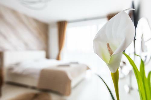 Apartment Alonisos Lux