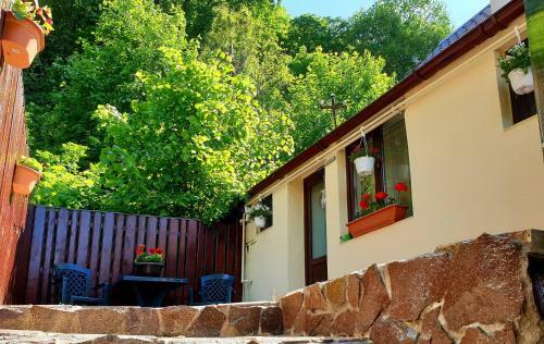 Apartamento Bra?ov Residence One