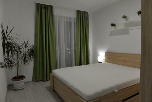 Coresi Deluxe Apartment