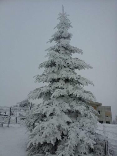 Villa Casa Padina Cu Pietre