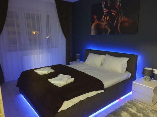Luxurious Landing Apartment