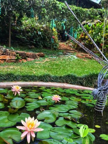 Hermosa Caba�a Privada En Reserva Natural