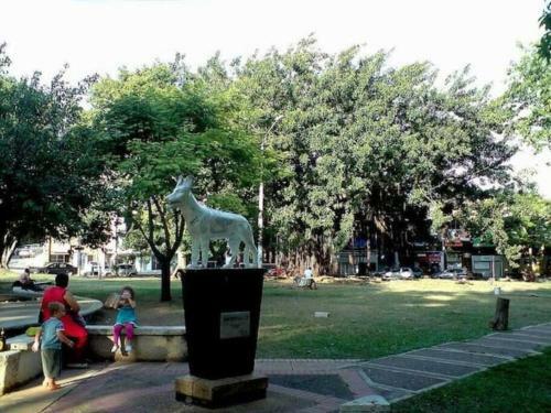 Apartamento San Fernando 102