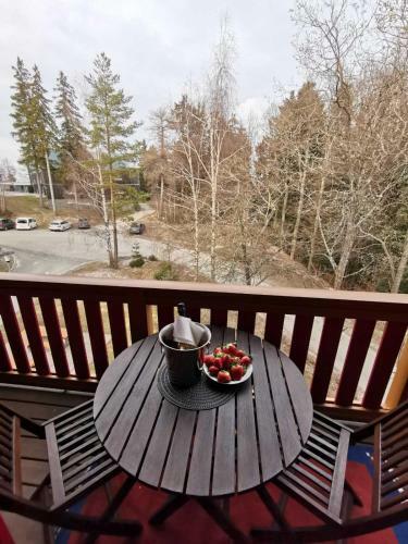 Apartma Pohorje Bolfenk 5011