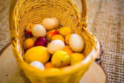 Casa De Campo - Olive House