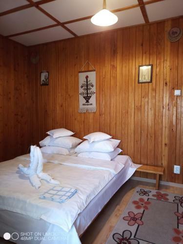 Hostal Casa Rodica Str. Clabucetului 28