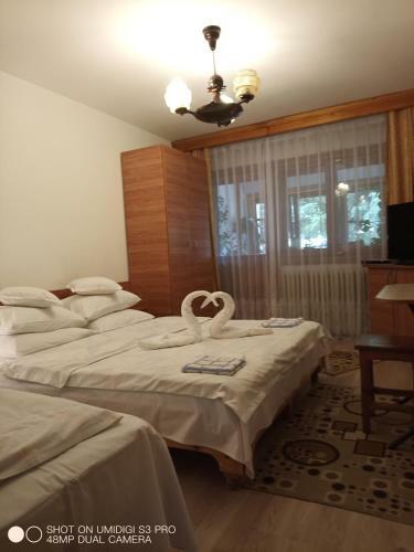 Hostal Casa Rodica Str. Clabucetului 28