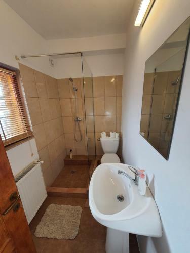 Hostal Bucegi View