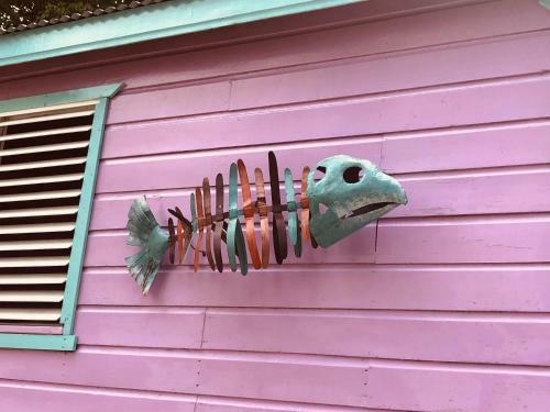 The Gumbo Limbo - Go Slow Cabana