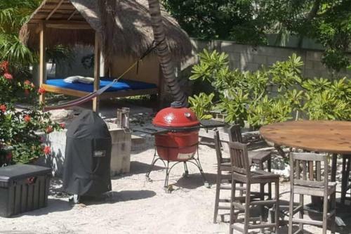 The Gumbo Limbo - Go Slow Cabana