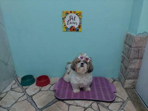 Casa Com Piscina Na Regi�o Dos Lagos - Araruama