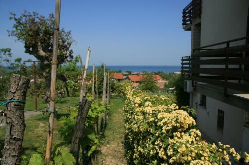 Apartma Tul